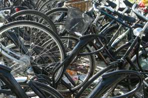 Beeld bij Fietsers blijven Belgisch fietsparadijs opzoeken